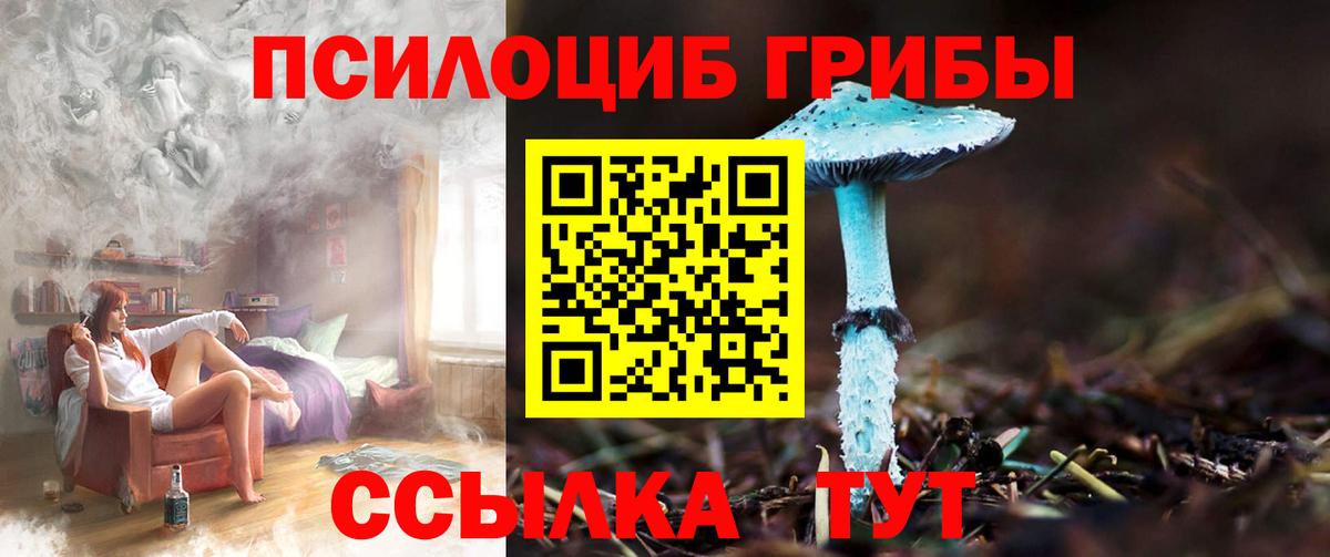 купить  сайты  Псилоцибиновые грибы Psilocybe  Галлюциногенные грибы Cubensis  Вход с VPN  Кузнецк 